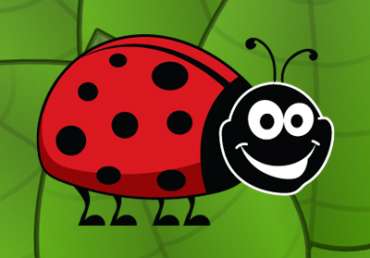Ladybirds 0-2 Years