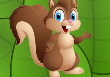 Squirrels 3-5 Years