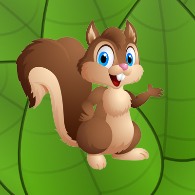 Squirrels 3-5 Years
